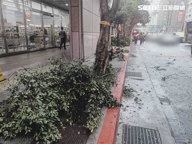 北市大貨車行經基隆路一段時撞斷路樹，枝幹壓毀公車及轎車的車頂。（圖／翻攝畫面）