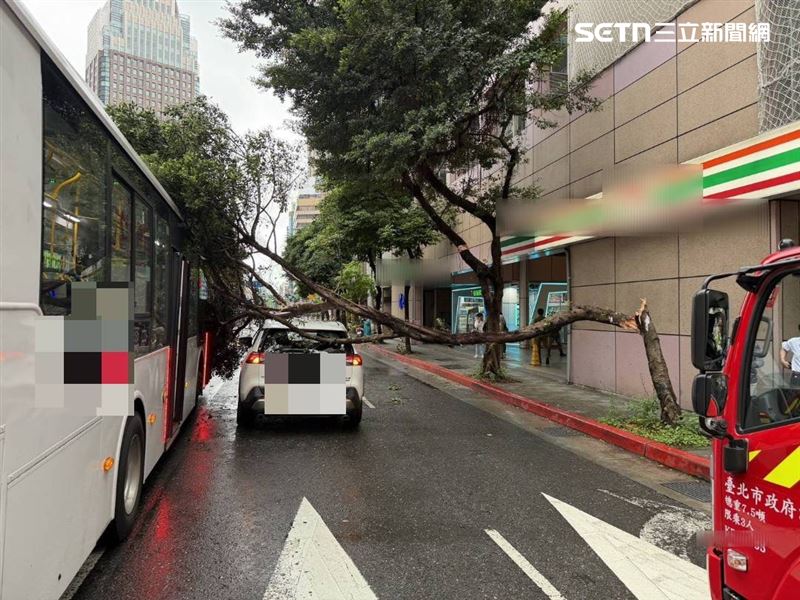 北市大貨車行經基隆路一段時撞斷路樹，枝幹壓毀公車及轎車的車頂。（圖／翻攝畫面）