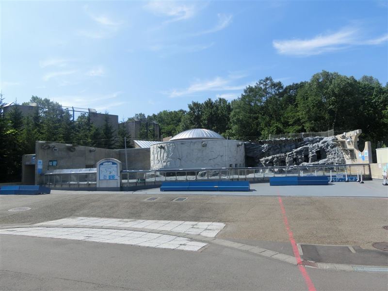 不少人會去旭川動物園看企鵝。（圖／翻攝自旭川動物園官網）