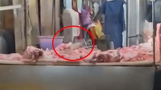 高雄市鳳山區某傳統市場，有路人撞見，某豬肉攤上堆積如山的豬肉上，有老鼠在上面攀爬啃食。（圖／民眾提供）