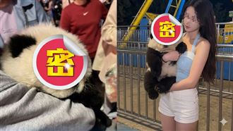 重慶驚見狗被染成「熊貓」賺錢！網淚崩