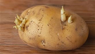 馬鈴薯護心抗老！與1食物放一起=加速腐敗