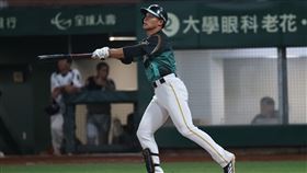 台鋼雄鷹王柏融。（圖／台鋼雄鷹提供） 