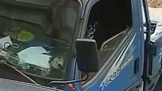 貨車無人自駕35秒　驚見汪星人掌舵撞車