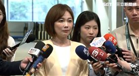 總統府發言人郭雅慧受訪（圖／翻攝畫面）