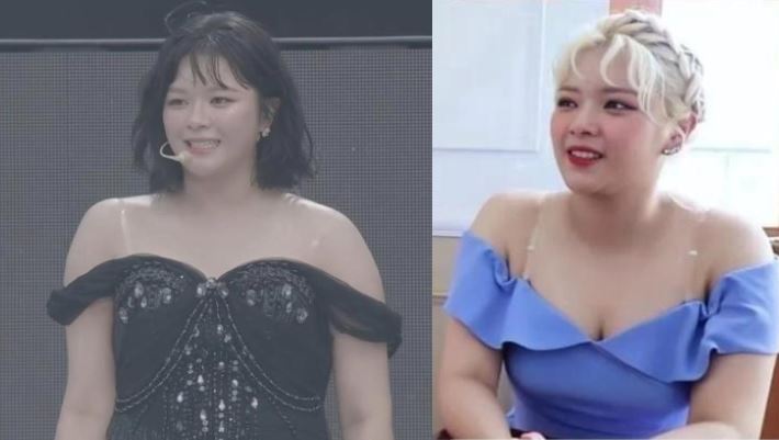 TWICE定延過去狀況不穩導致爆肥而受抨擊，讓許多人感到不捨。（組合圖／翻攝自韓網）