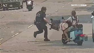 紅貴賓馬路亂竄　警持塑膠籃圍捕踉蹌慘摔