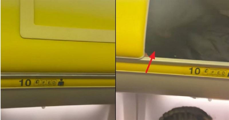 國外一名疑似網紅的男子搭乘瑞安航空時，躲進機艙行李架內，聲稱為了省機票錢，引發熱議。（圖／翻攝自TikTok@gaetanino97）