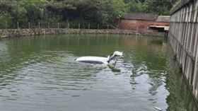 桃園男開車誤入埤塘，車輛滅頂，消防人員前往救援，他已自行逃出車外。（圖／翻攝畫面）