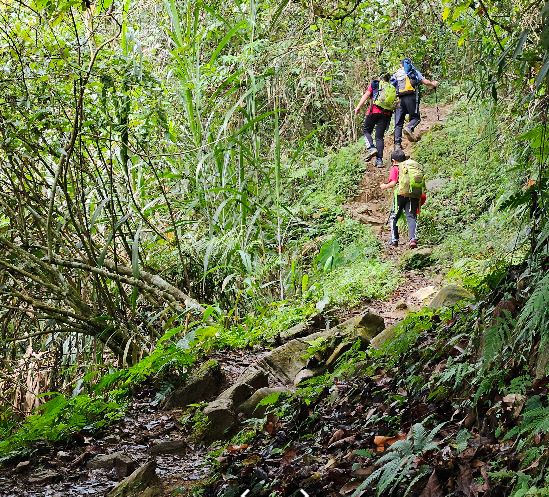 花蓮大同大禮原民部落，向政府陳情鋪路多年無果。(示意圖／Google Map）