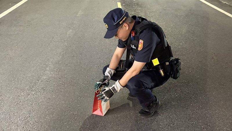 迷你貓頭鷹為國家保育類級別的「領角鴞」。（圖／翻攝畫面）