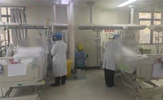 樓梯間養雞！8旬老夫妻感染送ICU命危搶救