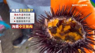 花千元買海膽「一半空包彈」　客怨不老實