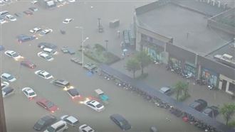 10年最強暴雨！車全滅頂泡水、癱瘓慘況曝