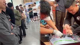 Threads,黃牛,屏東市,發射器,戰鬥陀螺,商機,童年,財力（圖／洪峻偉、屏東市夢想街提供）