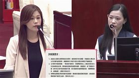 洪婉臻質詢台北燈節相關議題。（圖／洪婉臻提供）