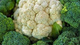 「菜花」主要是由人類乳突病毒引起，屬常見性傳染病之一。（示意圖／翻攝自pixabay