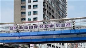 有民眾在天橋貼「台北動物園成台北老鼠園」標語，遭員警盤查，在確認其並非通緝犯等身分後卻不讓他離開。（圖／翻攝自Threads @jinjin_su）