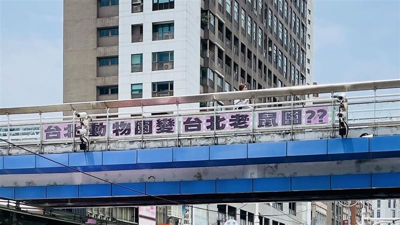 有民眾在天橋貼「台北動物園成台北老鼠園」標語，遭員警盤查，在確認其並非通緝犯等身分後卻不讓他離開。（圖／翻攝自Threads @jinjin_su）