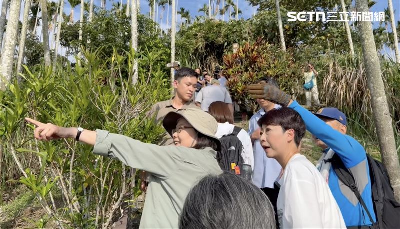 蔡英文應陳亭妃邀請，到台南楠西梅嶺登梅峰古道。（圖／翻攝畫面）