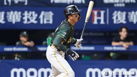 中職37年例行賽，台鋼雄鷹一壘手郭阜林敲出內野安打。（圖／記者劉彥池攝影）