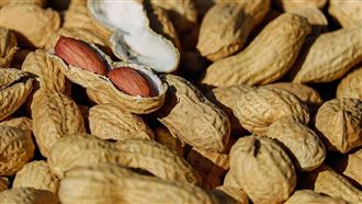 台灣花生產業受進口重創？業者傻眼駁斥