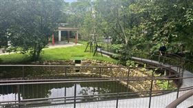 基隆市「希望之丘中正公園天鵝洞周邊社區廊帶串聯計畫工程」今（29）日舉行啟用典禮。（圖／內政部提供）