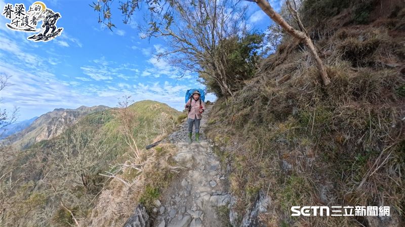 跟著保育巡查員劉居賜一路從登山口往上爬，實歲已65的他，依然健步如飛。發現跟在後面拍攝、採訪的記者突然沒聲音，他會馬上轉頭確認狀況，並熱情地精神喊話：「快到了、快到了！」或是指著遠方山頭說：「等等到那就可以休息一下...」殊不知，眼前看似近在咫尺的山頭，實際走起來可能還需好幾小時。（圖／記者張雅筑攝）