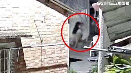 身穿白衣的劉姓男子手持水果刀猛刺手無寸鐵的張男，從屋內一路追砍到屋外。（圖／翻攝畫面）