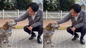 陳佩琪譏殘障三腳狗　賴清德曬斑斑反擊