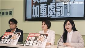 藍營喬不攏軍購案金額，民進黨團質疑，是否有境外勢力介入？（圖／記者楊士誼攝影）