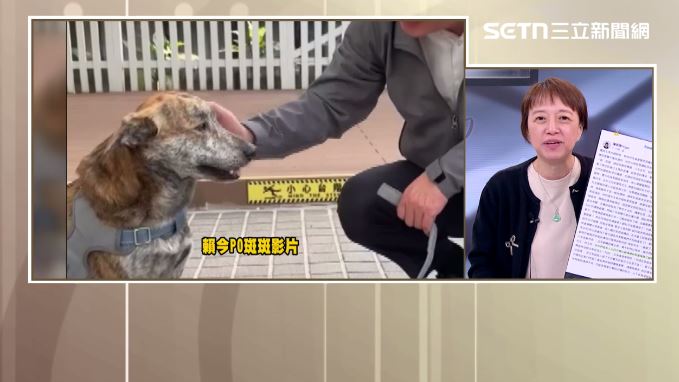 邱明玉說「斑斑事件」,呼籲柯文哲關心一下你老婆。(圖/前進新台灣)