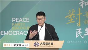 陸委會副主委梁文傑。（圖／翻攝畫面）