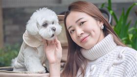 美女主播王乃伃熱衷流浪動物救助，本身也很愛狗，她發文砲轟陳佩琪譏諷總統愛犬的行徑。（圖／王乃伃臉書）