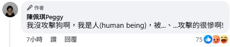 陳佩琪對昨天的言論做出解釋。（圖／陳佩琪臉書）