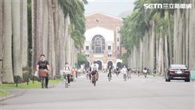 台大校園、台灣大學、台大 （圖／資料照）