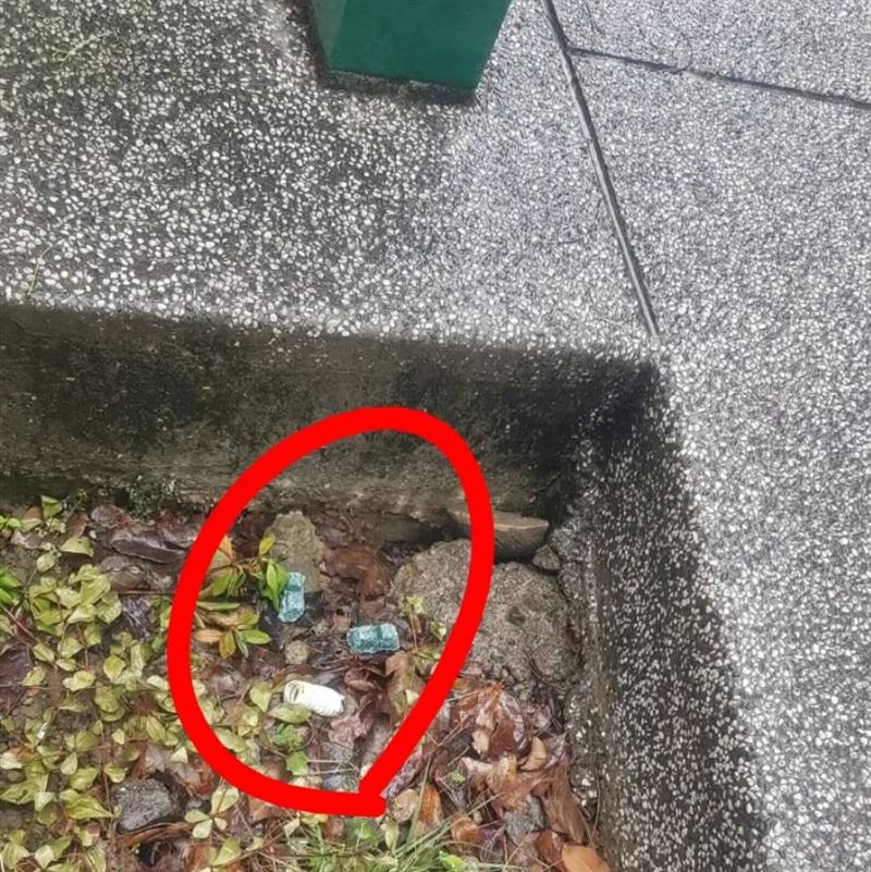 林亮君表示，老鼠藥是直接被丟在路邊小凹槽。（圖／翻攝林亮君Threads）