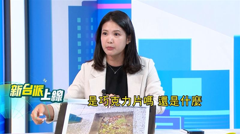 林亮君說，如果小朋友看到以為是巧克力片又放到嘴巴裡那怎麼辦？（圖／翻攝新台派上線）