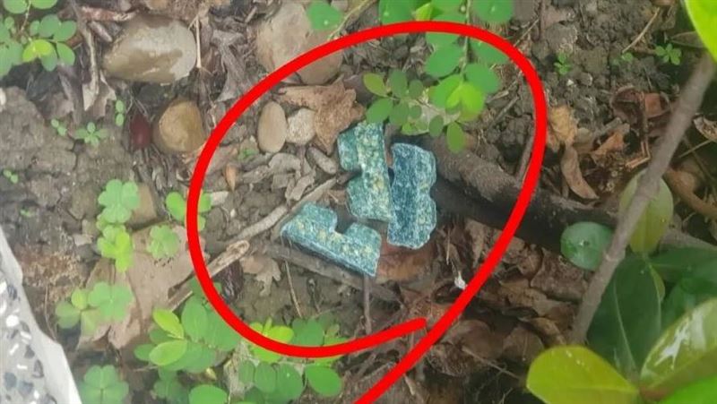 林亮君表示，環保局直接將老鼠藥放在花圃裡。（圖／翻攝林亮君Threads）