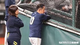 中職37年例行賽，中信兄弟總教練平野惠一觀看球員賽前打擊練習。（圖／記者劉彥池攝影）