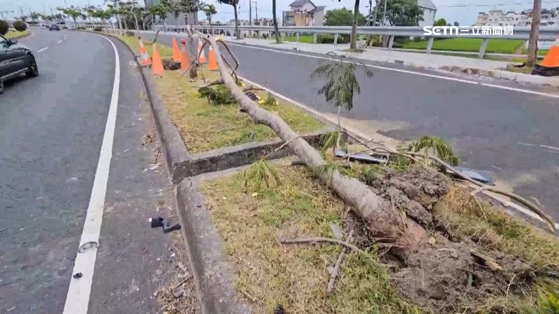一旁路樹整根被撞斷，汽車零件散落一地