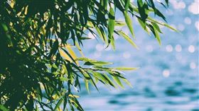 「星座塔羅牌之清水孟」小孟老師分享立夏4大禁忌和2個習俗。（示意圖／Pixabay）
