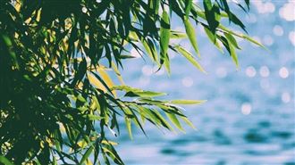 立夏將至！最忌「1事」　否則病整年