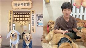 苗栗寵物餐廳「獵犬不打獵」老闆坦承虐狗，稱是為了「勸架」。（圖／翻攝自IG）