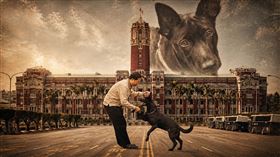 賴清德愛犬遭陳佩琪譏「殘障」，陳水扁也發聲力挺。（圖／翻攝自陳水扁Threads）