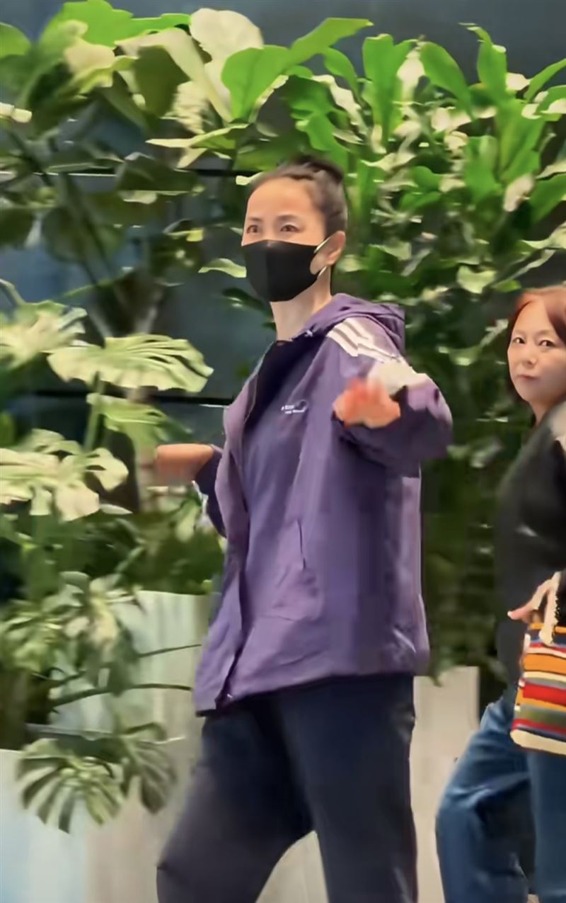 王菲素顏在機場被拍。（圖／翻攝自小紅書 娛樂大咖秀）