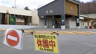 日本旭山動物園職員殺妻焚屍　曾搜關鍵字