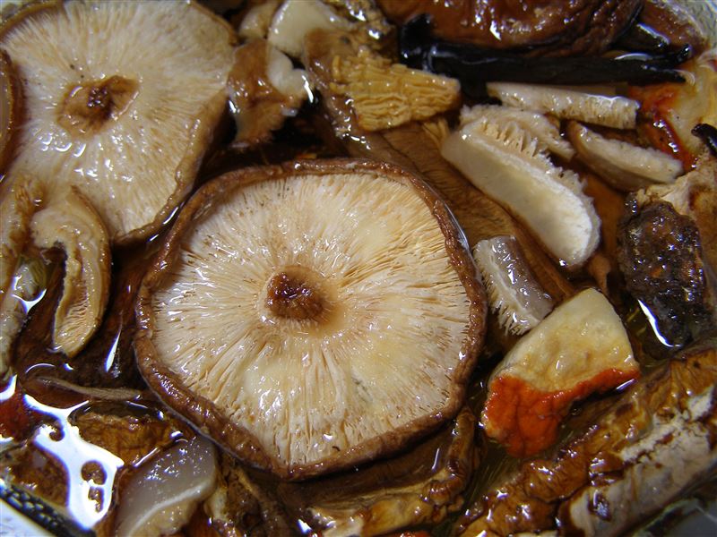 香菇富含膳食纖維，有助於腸道健康。不同烹調方式會影響營養保留，其中水煮流失較多，烘烤與清蒸相對較能保留抗氧化成分，但仍應注意烹調時間與溫度控制。（示意圖／PIXABAY）