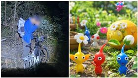 皮克敏,鐵路,玩家,嘉義,阿里山,林鐵（圖／翻攝畫面）