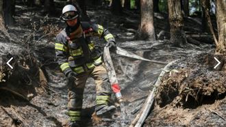 岩手縣林火受控！燒掉8%面積居民淚謝英雄